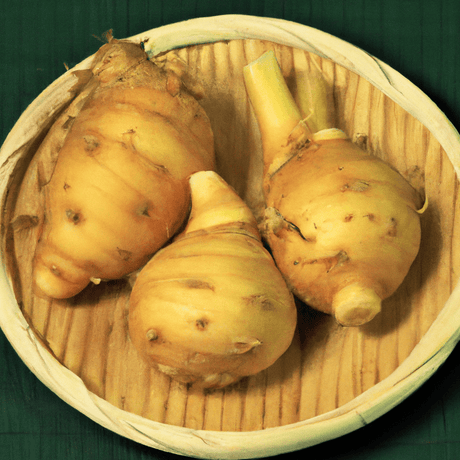 Tsuyu Shoga つゆ生姜 - RamenHeaven